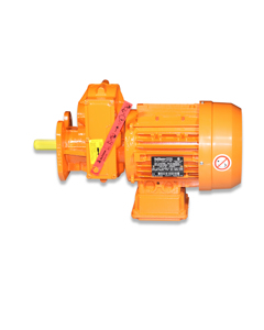 Mot-g 0,37 230/460 60 1,7/0,9A 9C 19r(6-90Hz) lb-driveUL/CSA